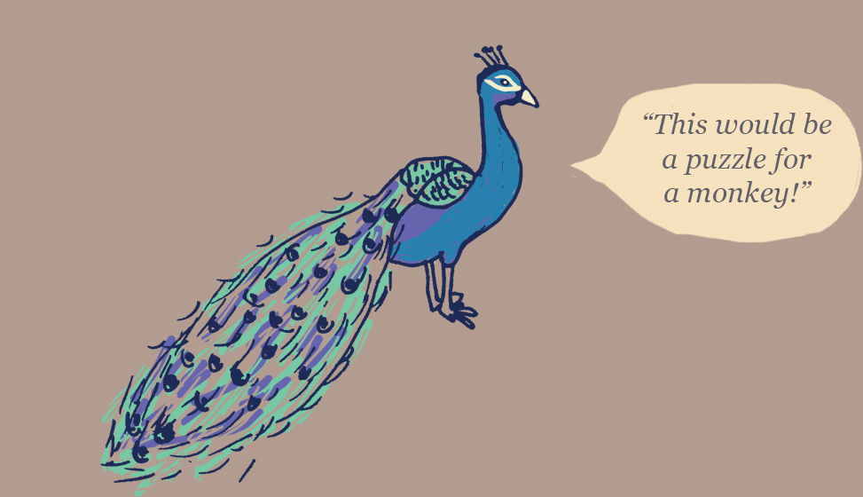 Peacock illustration