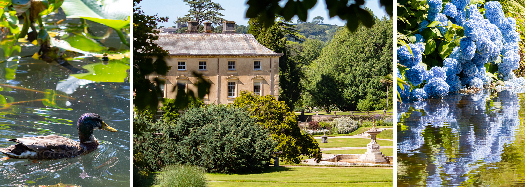 Gardens in Cornwall for families