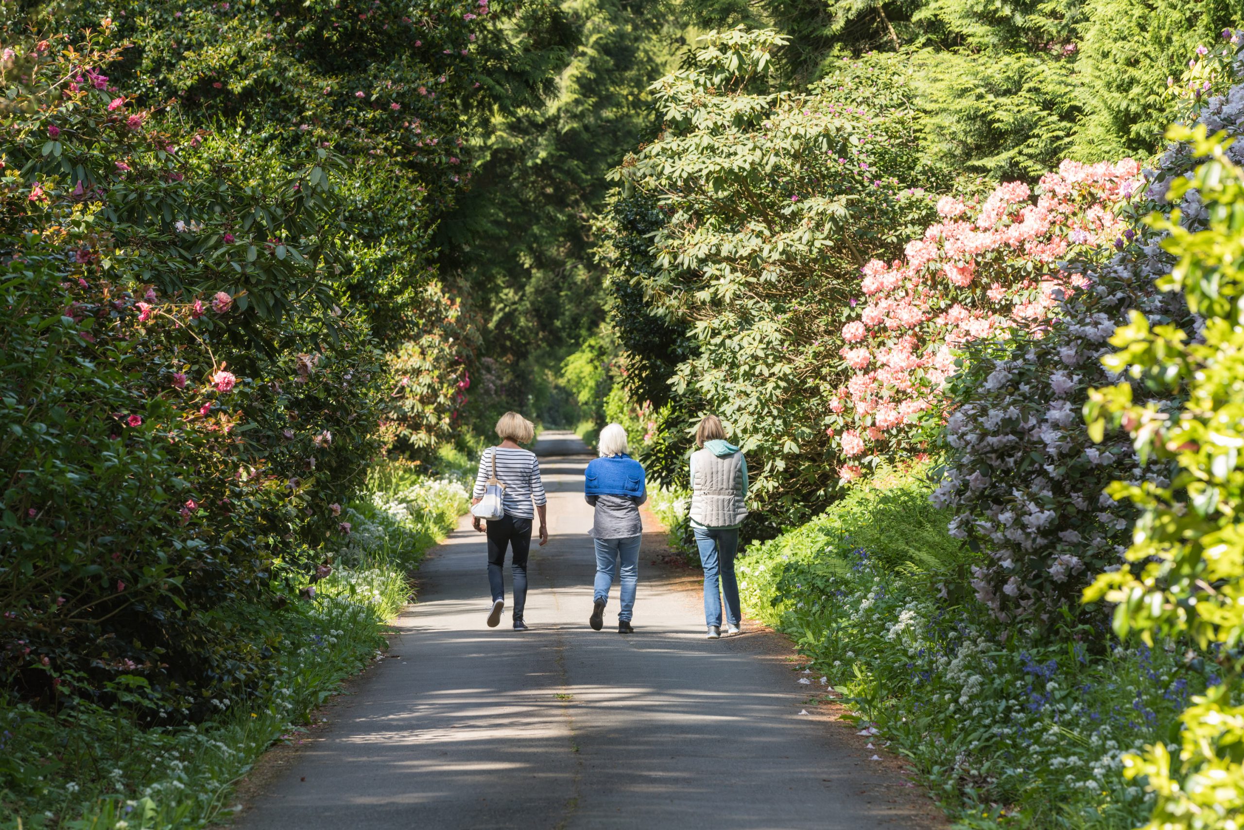 Pencarrow Gardens reopen in March 2022