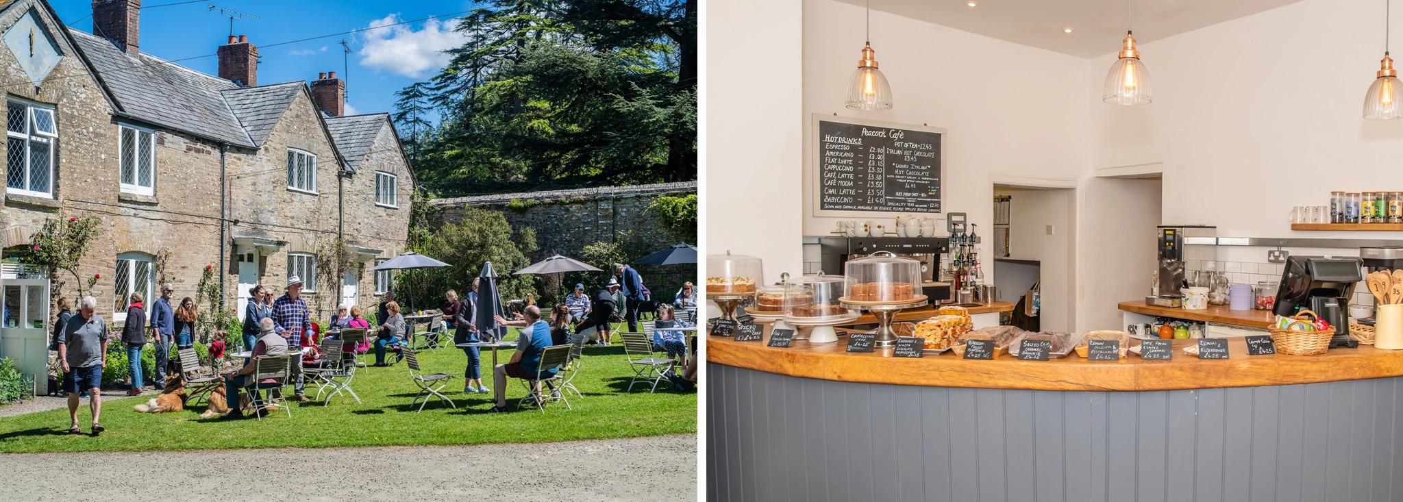 Our unique Cornish cafe and tearoom